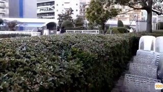 2018日韩理论在线观看,国产精品免费大片一区二区高清